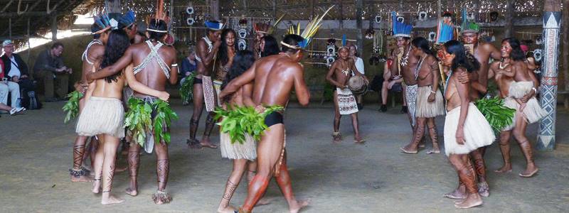 A cultura indgena no Brasil - Passado, presente e futuro