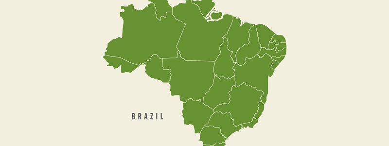 Os principais biomas brasileiros so